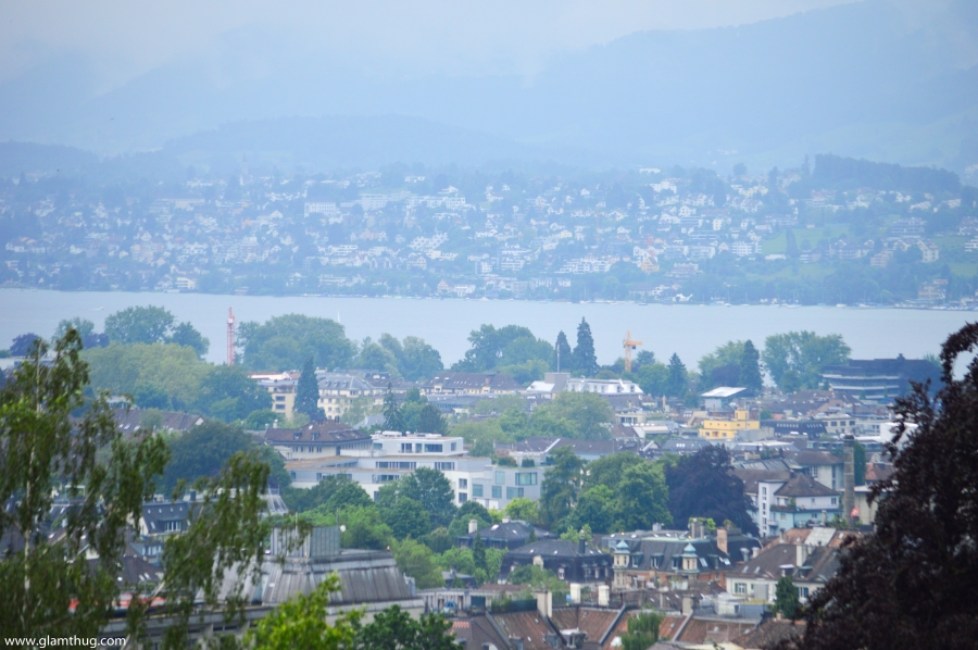 view Zurich from the top, panorama zurich